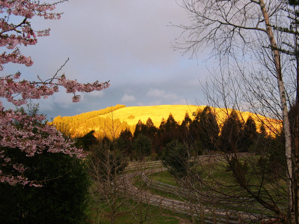 Whakaipo Lodge Lago Lago Taupo Esterno foto