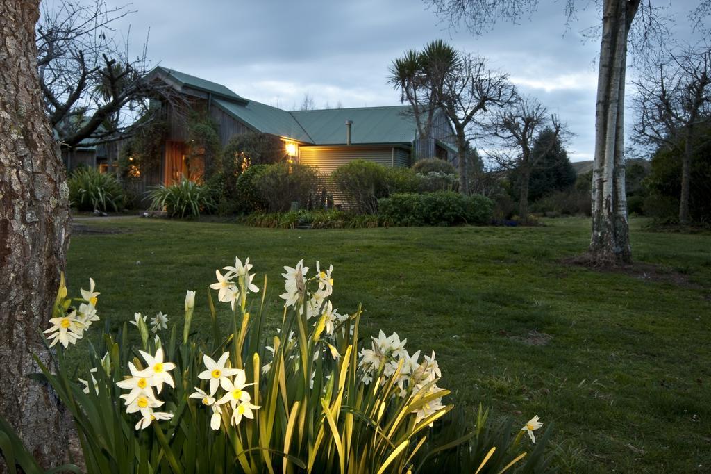 Whakaipo Lodge Lago Lago Taupo Esterno foto